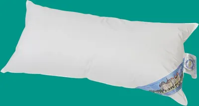 Produktbild von Kopfkissen 40x80 Daunenkissen Federkissen