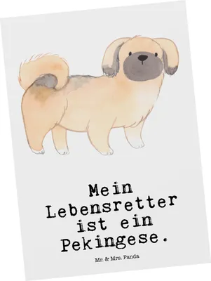Produktbild von Mr. & Mrs. Panda Postkarte Pekingese Lebensretter - Weiß - Geschenk, Pekinese, Ansichtskarte, Ansichtskarten, Peking-Palasthund, Postkarten, Fotokarte, Grußkarte