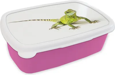 Produktbild von KitchenYeah® Lunchbox Brotzeit Brotdose 17x11 cm Eidechse - Reptil - Weiß Kinder Brotzeitdose - Lunchpaket - Brotkasten  - Sandwich Box