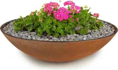Produktbild von Flache Pflanzschale für draussen Dekoschale rund Rost-Optik 35 cm