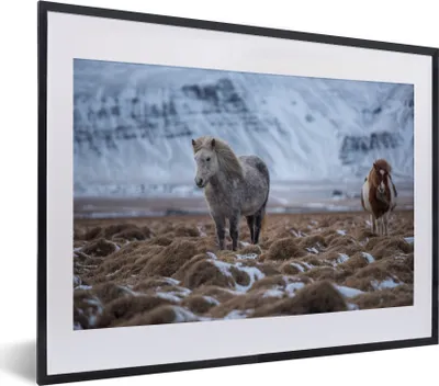 Produktbild von MuchoWow® MuchoWow® Gerahmtes Poster Island - Pferde - Schnee 40x30 cm - Poster mit zchwarzem Bilderrahmen - Bilderrahmen - Poster im Rahmen