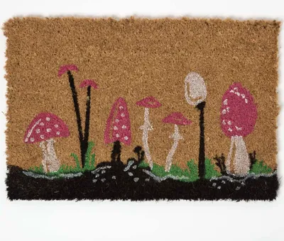 Immagine prodotto di HOMESCAPES zerbino antiscivolo in cocco con motivo a rospo, 40 x 60 cm