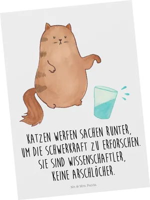 Produktbild von Mr. & Mrs. Panda Postkarte Katze Wasserglas - Weiß - Geschenk, Cats, Neugierig, Postkarten, Katzen, bildkarte, Grußkarte, Ansichtskarte, Ansichtskarten, Cat, Haustier