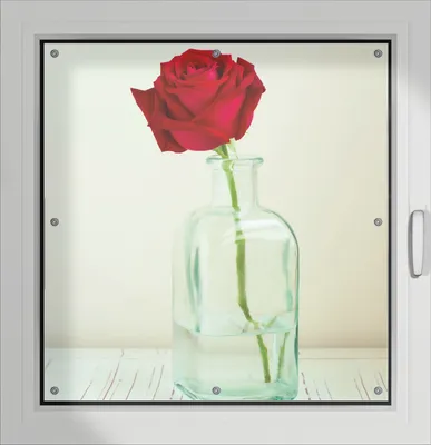Produktbild von Wallario Lichtschutzbild, Dekorativer Sichtschutz Sonnenschutz 96 x 100 cm mit Motiv: Rote Rose in Glasvase - Verdunklung ohne Bohren