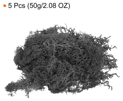 Produktbild von 5 Stš¹ck 2,08 OZ Moos Fake Craft Moos Kš¹nstliches Moos Natš¹rliches Konserviertes Moos fš¹r Bastelkunst Florales DIY-Projekt Wand Hochzeit Garten Terrarien Dekoration (Schwarz)