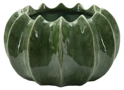 Immagine prodotto di Mauro Ferretti Cachepot Cactus, Ø22x13,5 cm