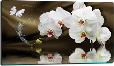 Produktbild von Herdabdeckplatte Glaskeramikkochfeld-Abdeckung Spritzschutz Glas 80x52 Blumen