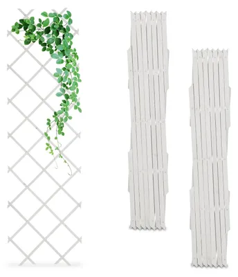 Produktbild von Ausziehbares Pflanzenspalier-Set, 180x60 cm, 3er-Pack
