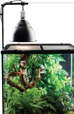 Produktbild von Hagen EX Lichtklammer; PT2223