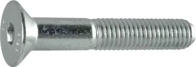 Obrázok produktu pre Skrutky so zápustnou hlavou Reyher ISO 10642 010.9 M 16x30 vz A2F 106421100160030 (50 kusov)