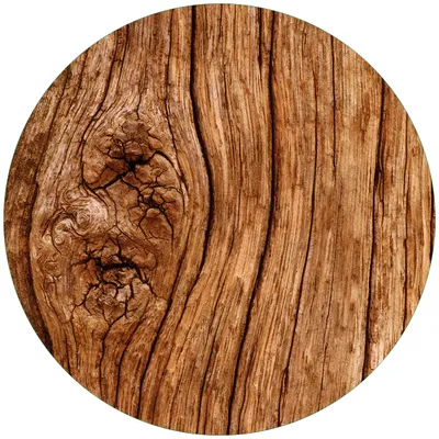 Produktbild von Wallario Premium Glasbild, freischwebende Optik, kräftige Farben, rund 50cm Durchmesser, Motiv Holzstamm mit Asteinschluss