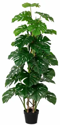 Produktbild von Künstliche Monstera Monkey Leaf 125cm im Topf realistische Kunstpflanze Deko