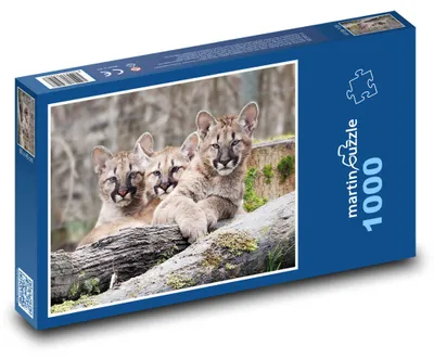 Obrázek produktu pro martinpuzzle - Puzzle 1000 - Puma
