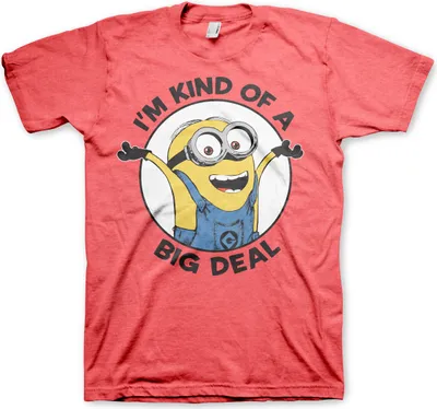 Produktbild von Minions - I'm Kind Of A Big Deal T-Shirt - X-Large - Red-Heather