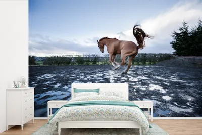 Produktbild von MuchoWow® Fototapete für Wohnzimmer oder Schlafzimmer Wandtapete Vinyl Motivtapete Ein bockendes Pferd in den Pfützen - 420x280 cm - Zimmer für Kinder