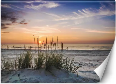 Produktbild von Vlies fototapete Sonnenuntergang am Strand 400x280 cm Feeby Blau inkl. Kleber einfache Montage