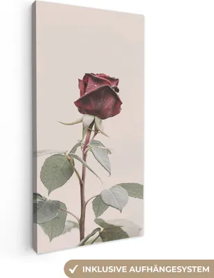 Produktbild von MuchoWow® - Leinwandbilder - Blumen - Rot - Rosen - Grün, Wandbild, Wanddeko Bilder Wohnzimmer, 40x80 cm