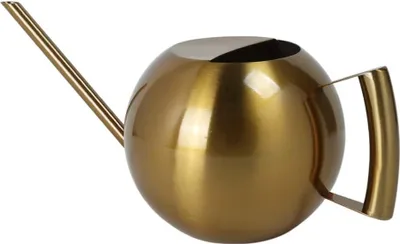 Immagine prodotto di Annaffiatoio in metallo, acciaio inox, bocca lunga, annaffiatoio carnoso, 1000 ml