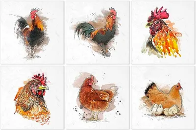 Immagine prodotto di ITD carta di riso per decoupage, RSM004 galline galli
