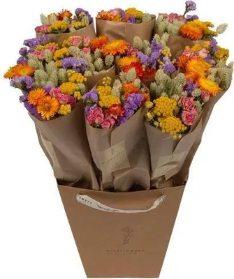 Produktbild von Trockenblumen Strauß Market More Multi – Getrocknete Blumen Deko – Handgebunden – Natürliche Dekoration – Langlebig & Pflegeleicht – 50cm