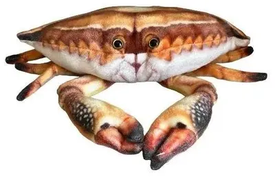 Image de Krab 31cm - Dubi