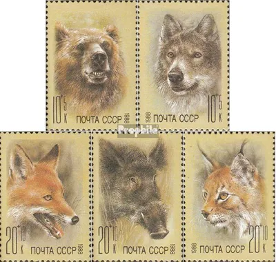 Produktbild von Briefmarken Sowjetunion 1988 Mi 5877-5881 (kompl.Ausg.) postfrisch Sowjetische Tiergärten