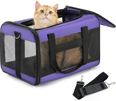 Produktbild von Katzenbox Flugzeugtauglich weich faltbar bis 7kg Reise Tasche