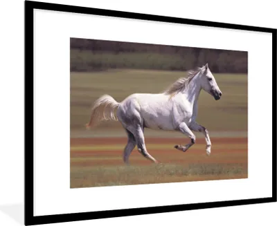 Produktbild von MuchoWow® Gerahmtes Poster Pferd - Licht - Gras 90x60 cm - Poster mit Schwarzem Bilderrahmen Wandposter Rahmen Foto Bilder - Wanddekoration - Fotos