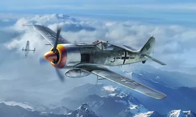Obrázek produktu pro Focke-Wulf FW190A-8 / 1:48