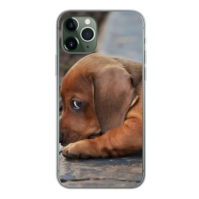 Produktbild von MuchoWow® Handyhülle Schutzhülle Hülle für iPhone 11 Pro Dackelwelpe liegt am Rande des Bürgersteigs Silikon Softcase Handy Hülle - Handy
