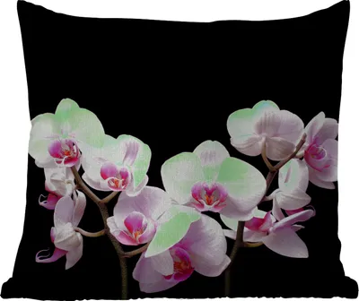 Produktbild von MuchoWow® Outdoor Kissen - Orchidee - Blumen - Rosa - Flora - 40x40 cm - Wetterfest - Lounge Kissen - Kopfkissen - Interieur - Polster mit Bild
