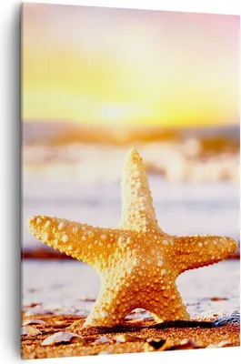 Produktbild von Bild auf Leinwand - Leinwandbild - Einteilig - Starfish Strand Sand Ozean - 70x100cm - Wand Bild - Wanddeko - Wandbilder - Leinwanddruck - Wanddekoration - Leinwand bilder - Wandbild - PA70x100-2815