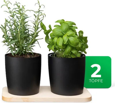 Produktbild von Novaliv Stilvolle Kräuterstation 2er Set mit Holzunterlage und 2 Kräutertöpfe für jede Fensterbank, Für frische Küchenkräuter, Kräutergarten für die küche, Kräuterbeet indoor, Blumentopf, Übertopf