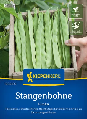 Artikelbild 2 von 'Stangenbohne Limka' aus der Kategorie Stangenbohnensamen