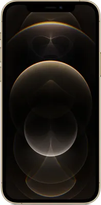 Apple iPhone 12 Pro Max , 17 cm (6.7