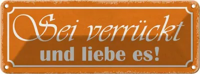 Produktbild von vianmo Blechschild 10x27 cm sei verrückt und liebe es Dekoration