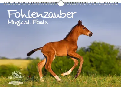 Produktbild von Fohlenzauber DIN A3 Immerwährender Kalender Pferde und Fohlen - Seelenzauber