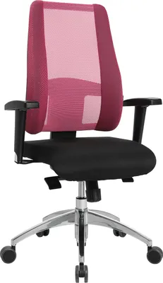 Produktbild von Topstar Lady Sitness Deluxe AL.T2 poliert/pink
