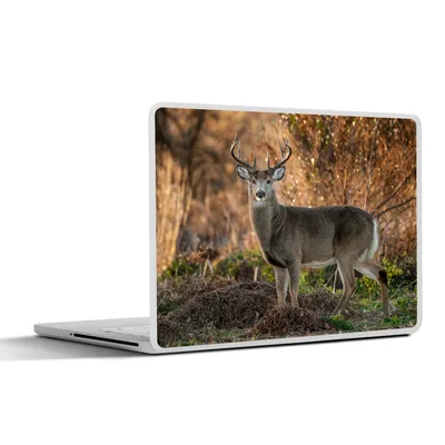 Produktbild von MuchoWow® Laptop Aufkleber Sticker Cover Hirsch - Geweih - Sonnenaufgang 31x22.5 cm - Laptop-Deko