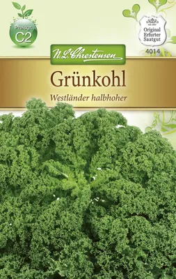Produktbild von Grünkohl halbhoher Westländer | Grünkohlsamen von N.L. Chrestensen