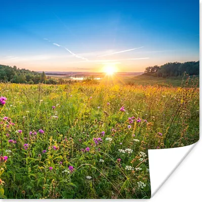 Produktbild von MuchoWow® Poster Sonne - Gras - Blumen 100x100 cm - Babyzimmer