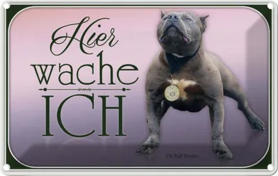 Produktbild von vianmo Blechschild 20x30 cm Hund Pit Bull Terrier hier wache ich Tier Haustier