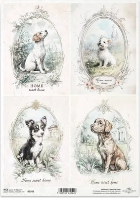 Immagine prodotto di ITD carta di riso decoupage tecnica artigianale tovagliolo di carta-R2566 cani