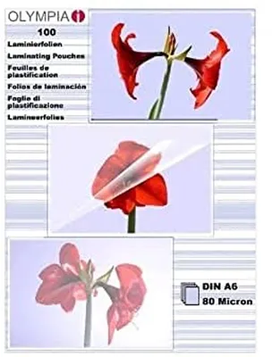 Laminierfolientasche, Hauptbild