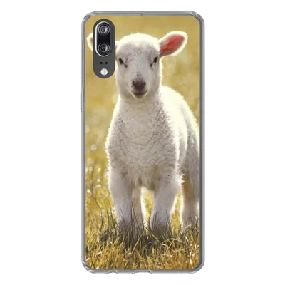 Produktbild von MuchoWow® Handyhülle Schutzhülle Hülle für Huawei P20 Lamm - Gras - Sonne Silikon Softcase Handy Hülle - Hardcover
