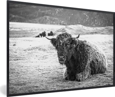 Produktbild von MuchoWow® Gerahmtes Poster Schottischer Highlander - Berg - Tiere 90x60 cm - Poster mit Schwarzem Bilderrahmen Wandposter Rahmen Foto Bilder - Fotorahmen - Foto-Plakat