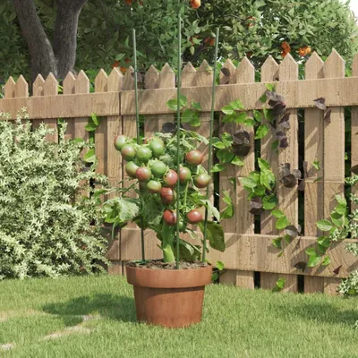 Produktbild von Pflanzenstützen mit 3 Ringen 5 Stk. Grün 60 cm Stahl