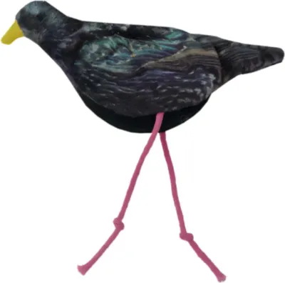 Obrázok produktu pre Mačka divokého života Starling (Starling)