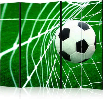 Produktbild von 5-teiliger Einseitiger Vlies Paravent - Goal! II 225x172 cm Street art i-C-0173-z-c