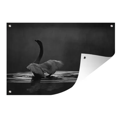 Obrázok produktu pre MuchoWow® Vonkajší plagát - Záhradná dekorácia ochrana súkromia - Záhradné plagáty pre záhradu - Labuť vo vode - 80x120x0.2cm